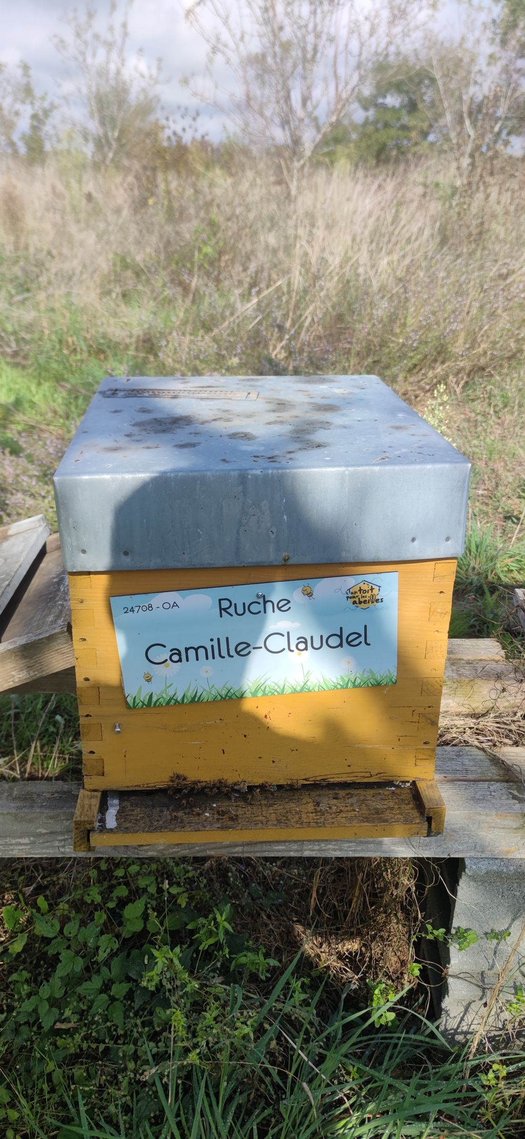 La ruche Camille-Claudel