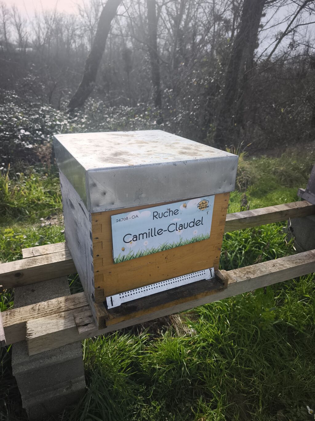 La ruche Camille-Claudel