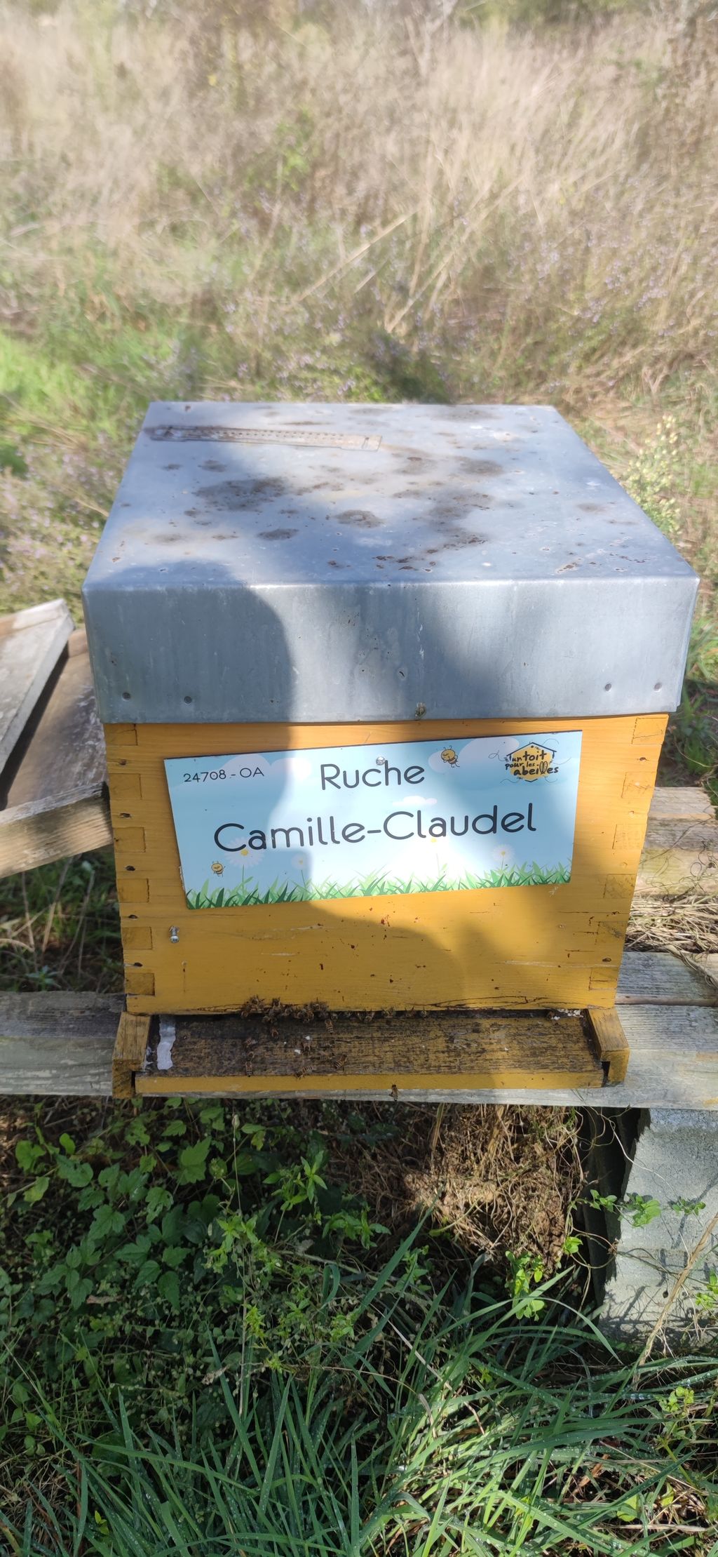 La ruche Camille-Claudel