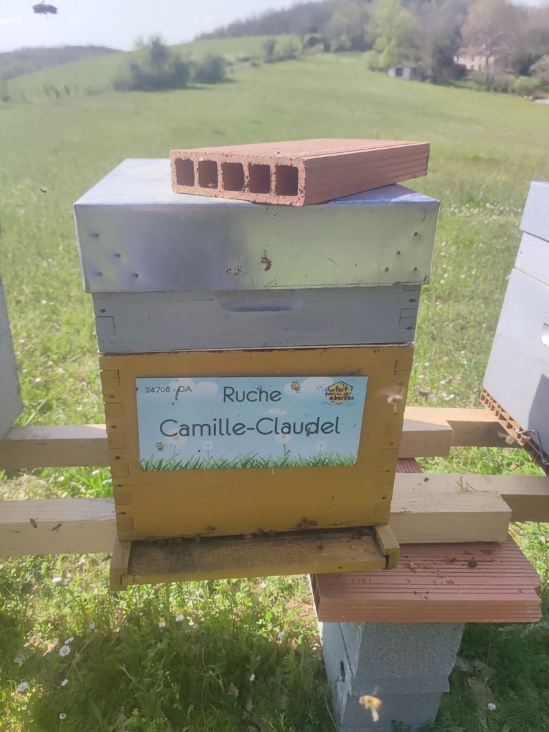 La ruche Camille-Claudel
