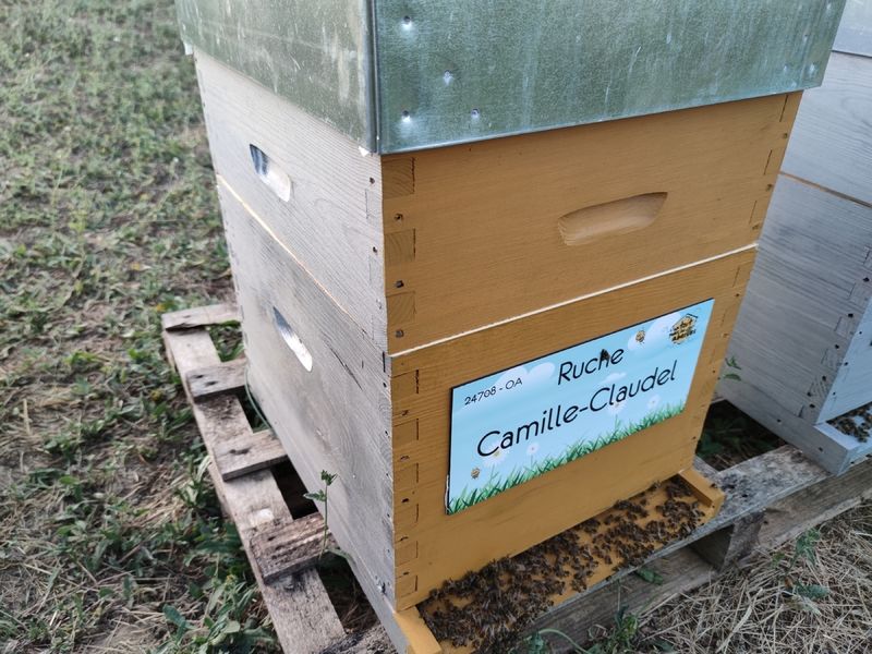 La ruche Camille-Claudel