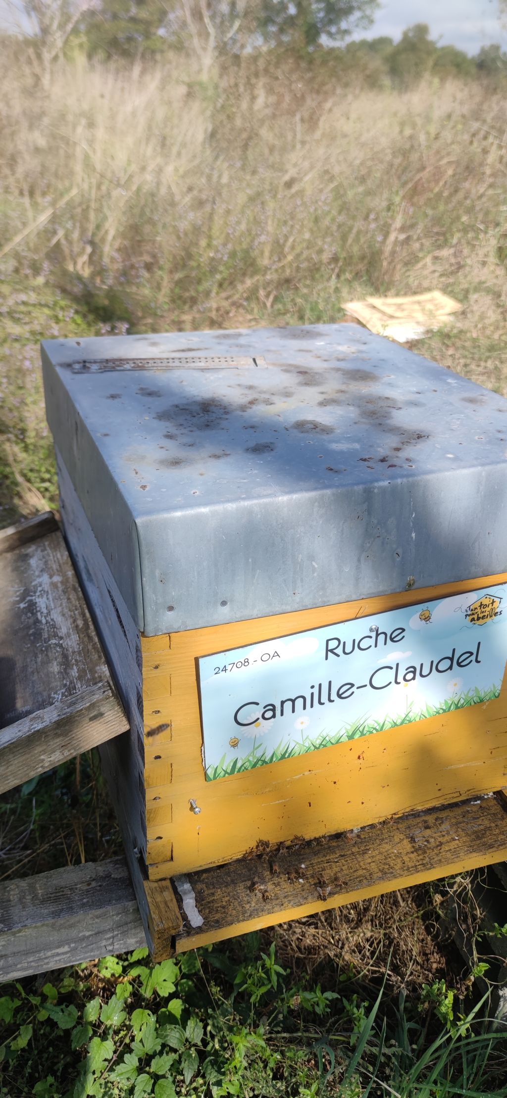 La ruche Camille-Claudel