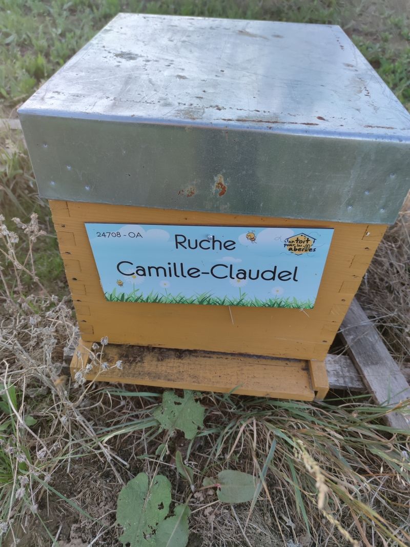 La ruche Camille-Claudel