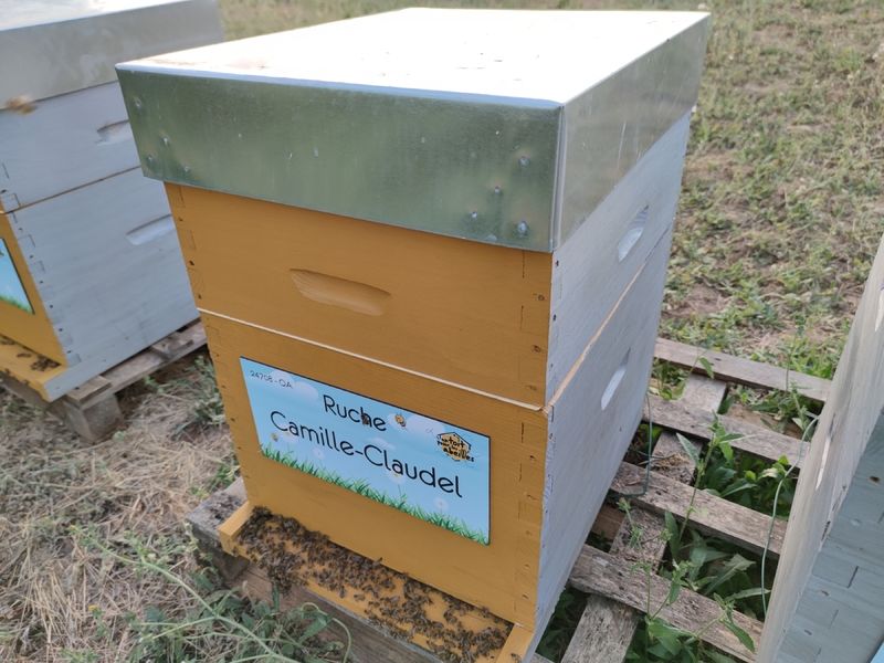 La ruche Camille-Claudel