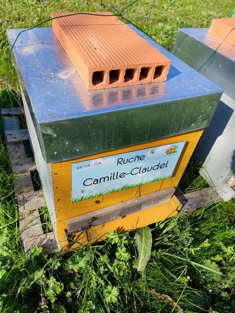 La ruche Camille-Claudel