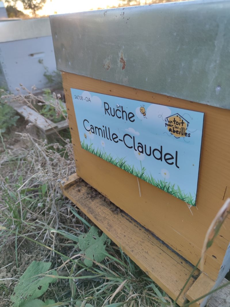 La ruche Camille-Claudel