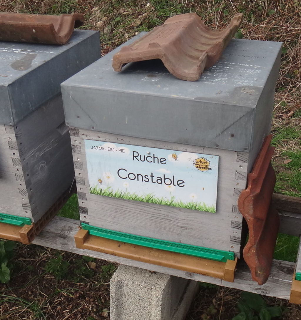 La ruche Constable