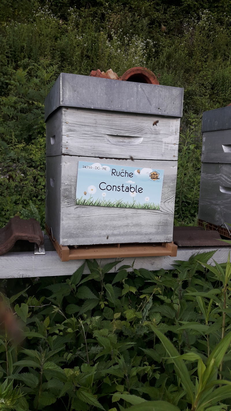 La ruche Constable