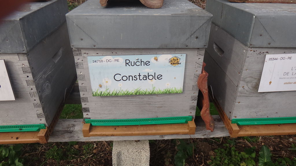 La ruche Constable