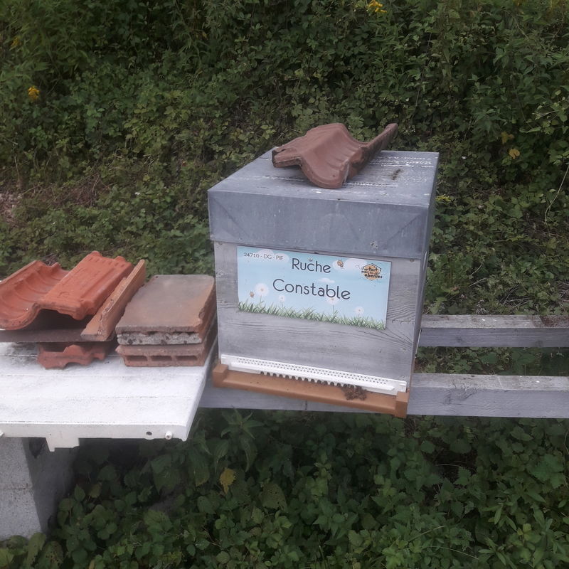 La ruche Constable