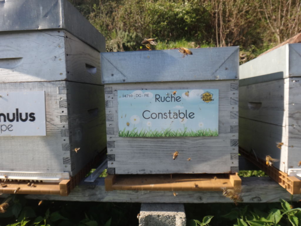 La ruche Constable