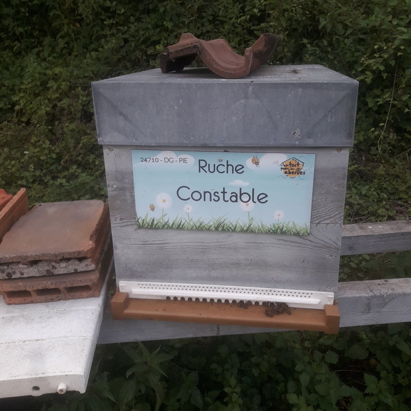 La ruche Constable