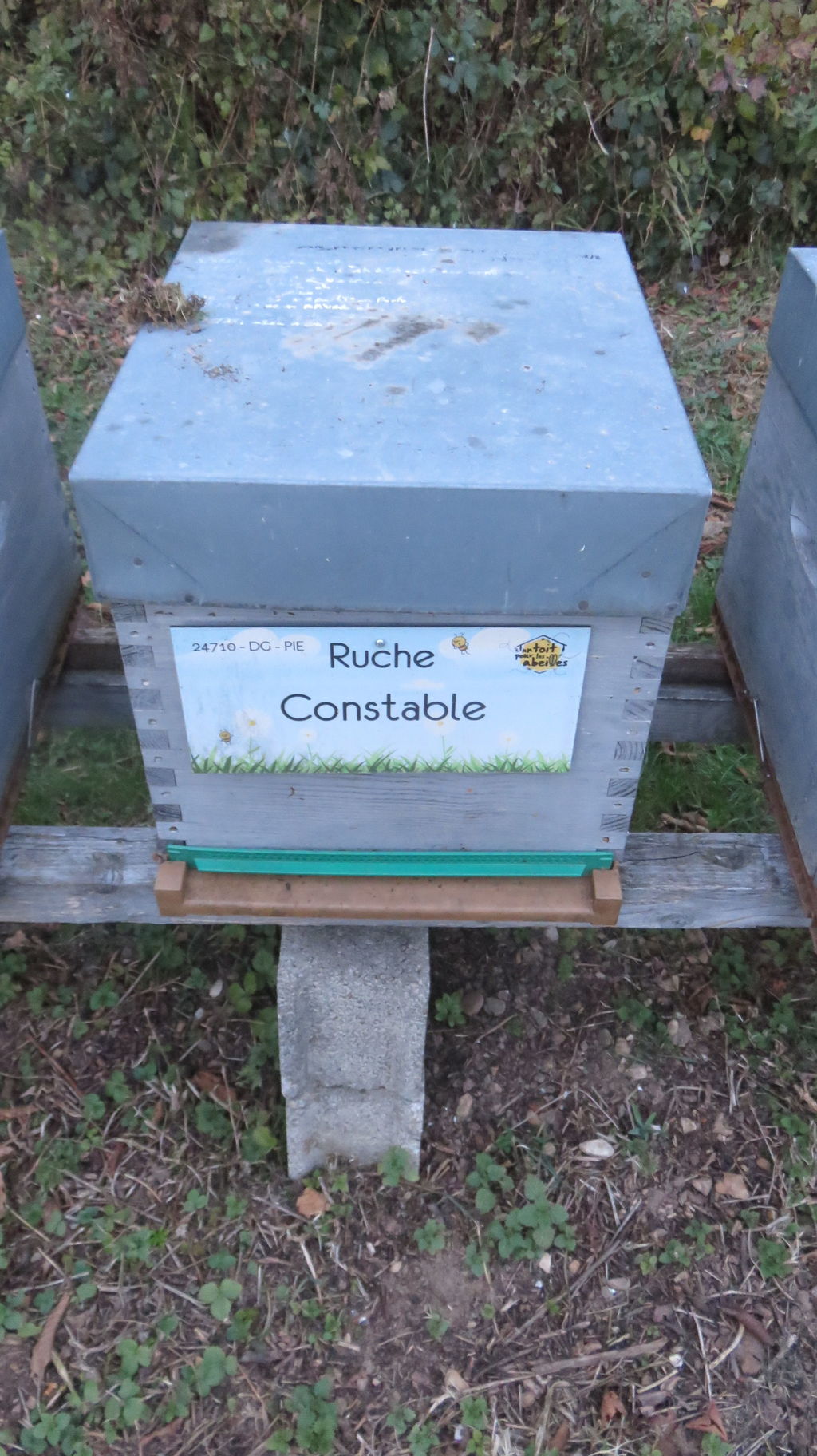 La ruche Constable