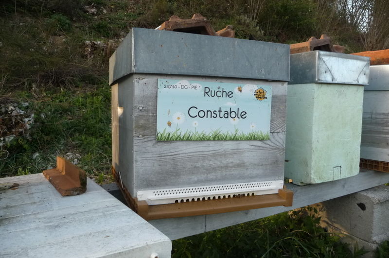 La ruche Constable