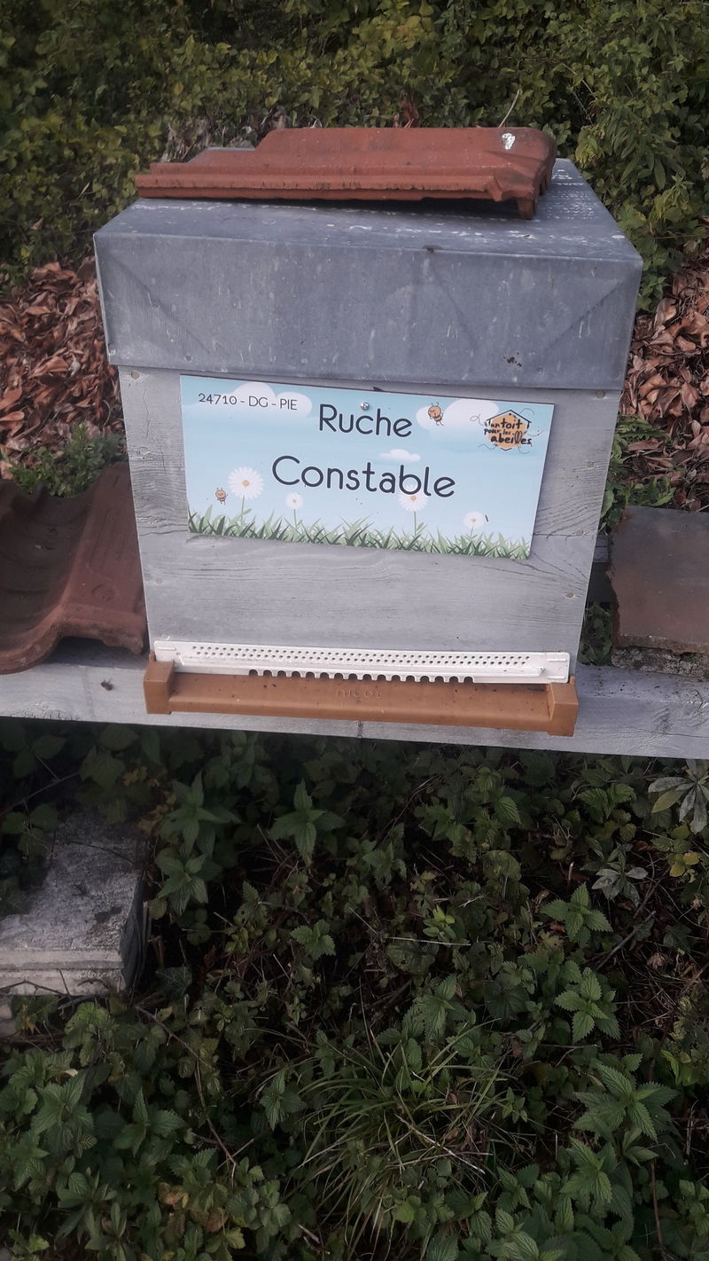 La ruche Constable