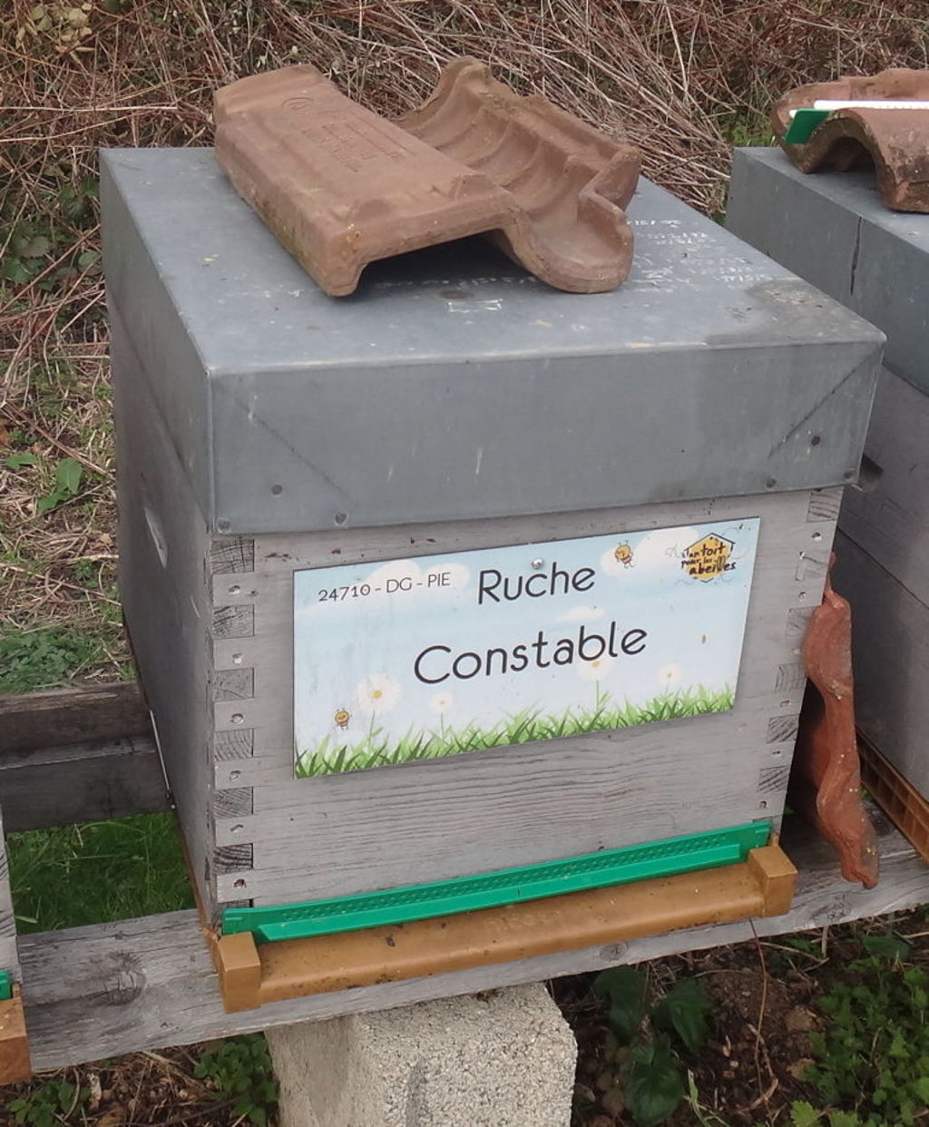 La ruche Constable