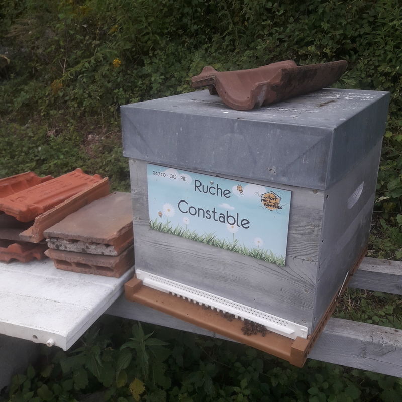 La ruche Constable
