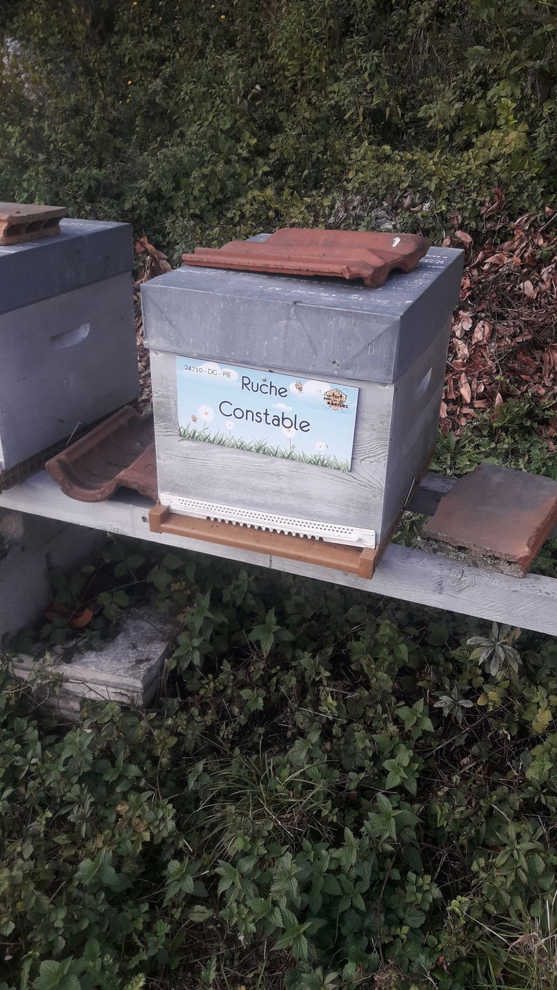 La ruche Constable