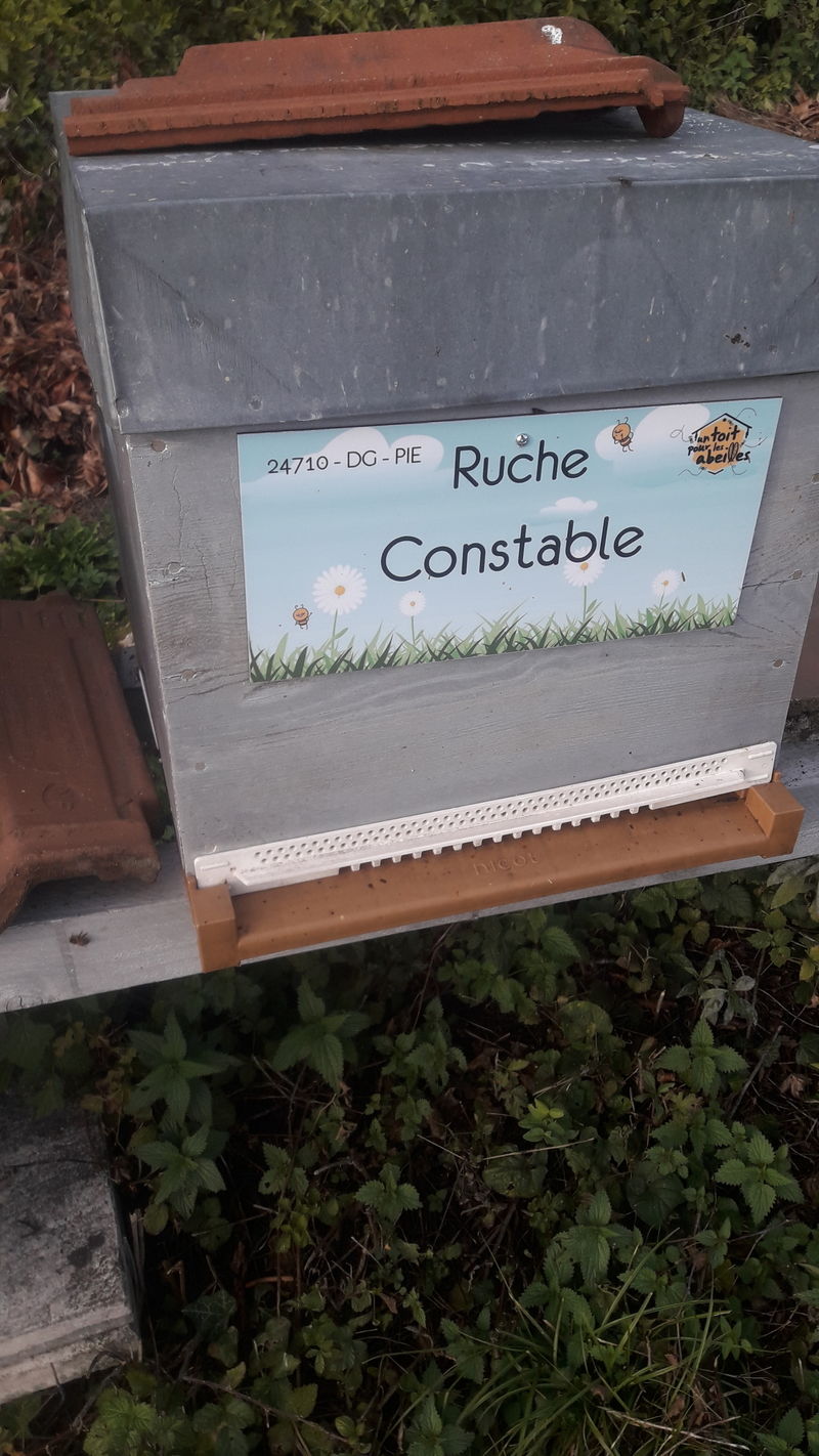 La ruche