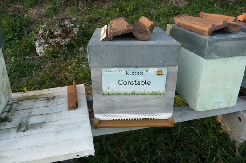 La ruche Constable