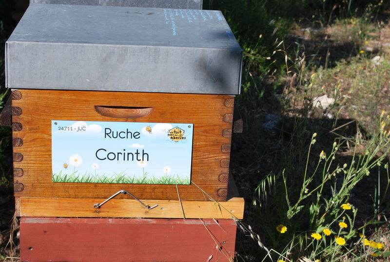 La ruche Corinth
