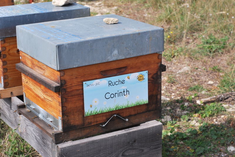 La ruche Corinth