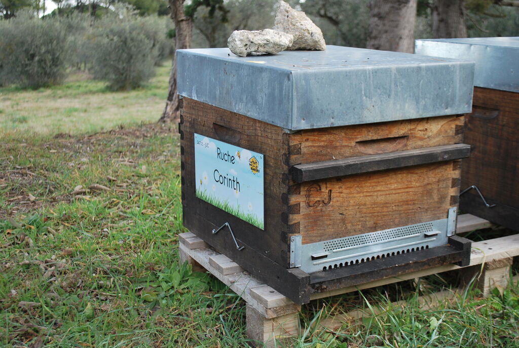 La ruche Corinth