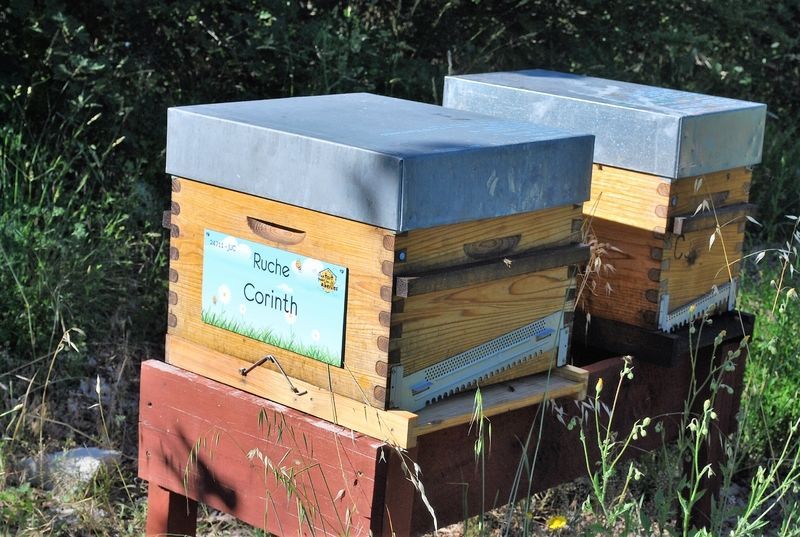 La ruche Corinth