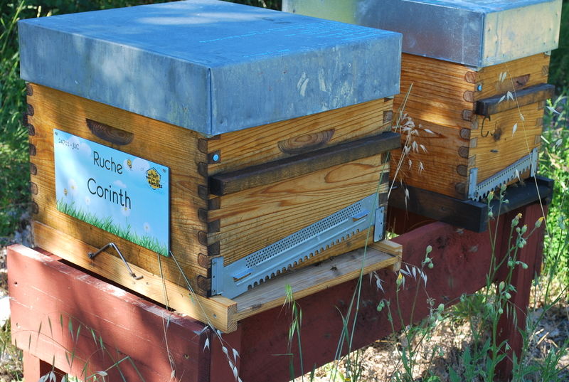 La ruche Corinth