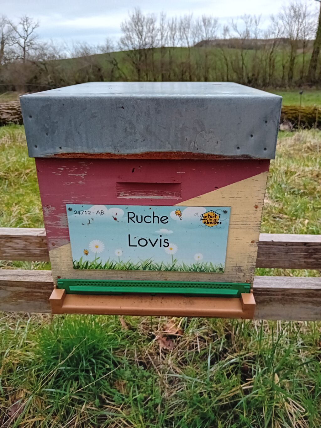 La ruche Lovis