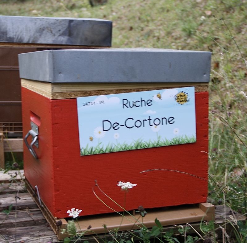 La ruche De-Cortone