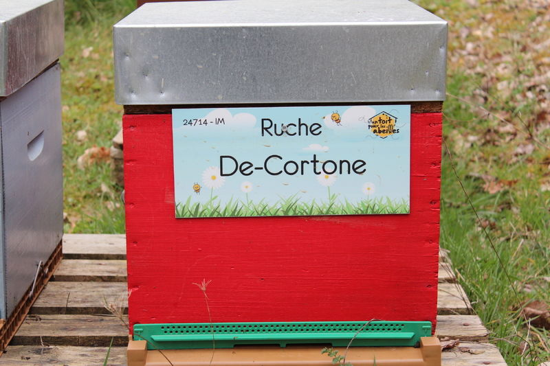 La ruche