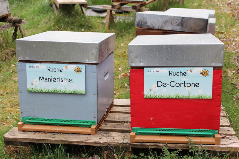 La ruche De-Cortone