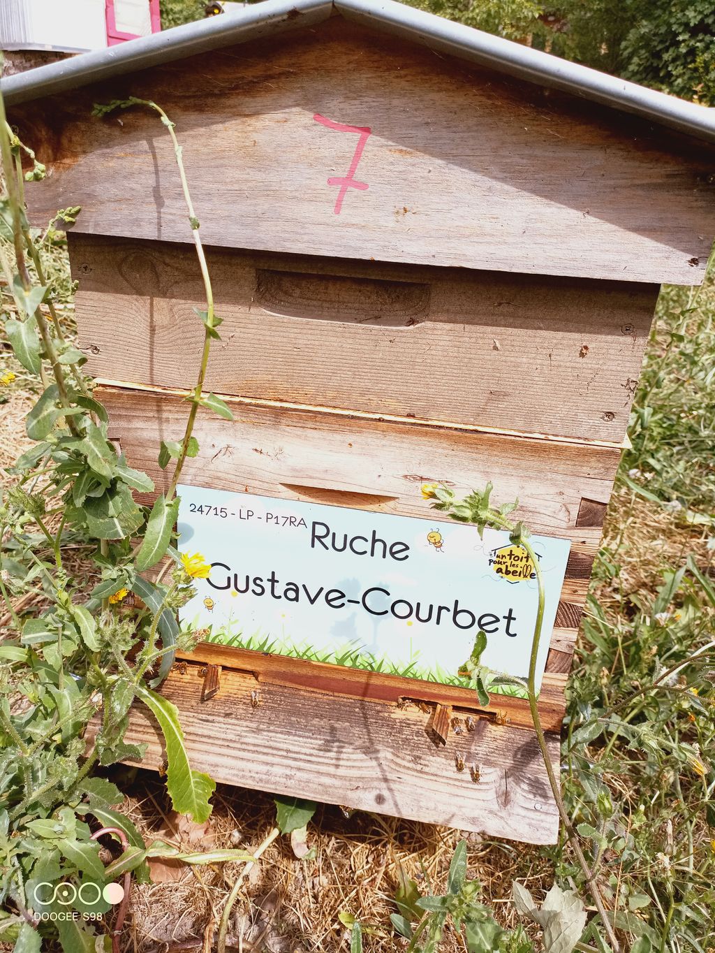 La ruche