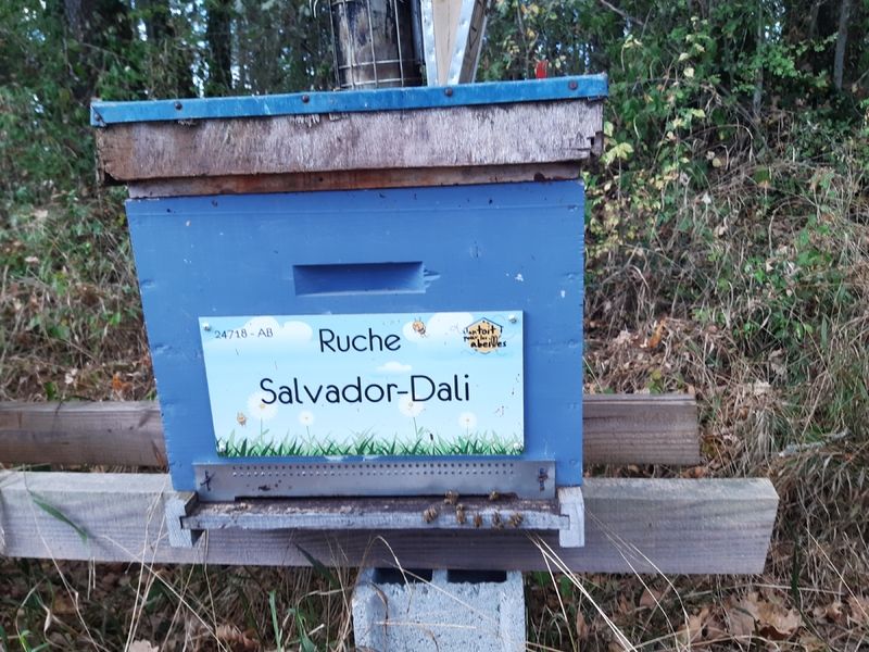 La ruche Salvador-Dali