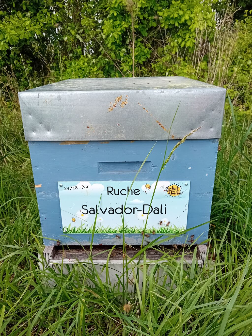 La ruche Salvador-Dali