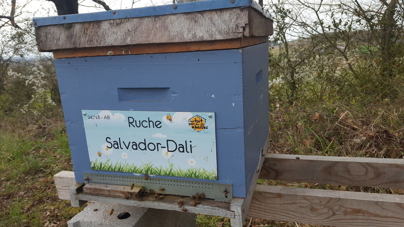 La ruche Salvador-Dali