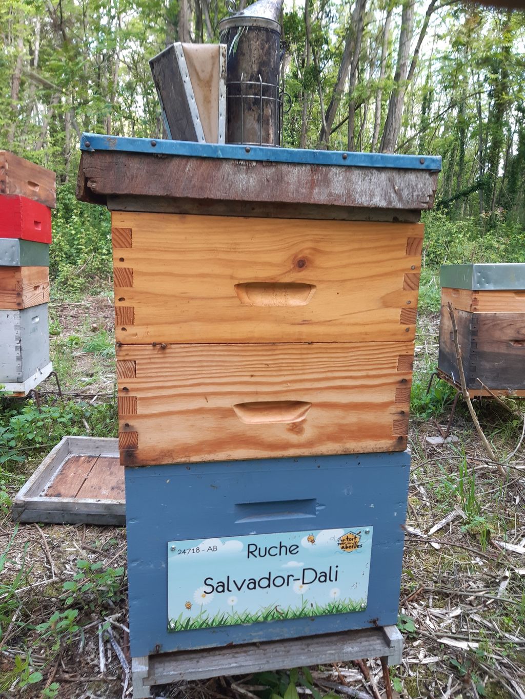 La ruche Salvador-Dali