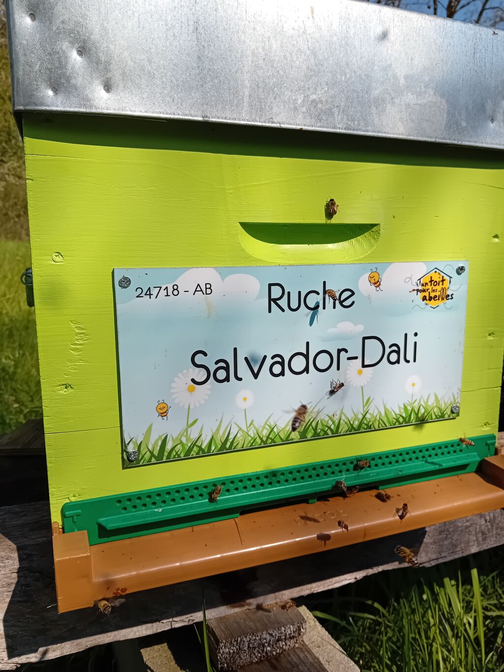 La ruche Salvador-Dali