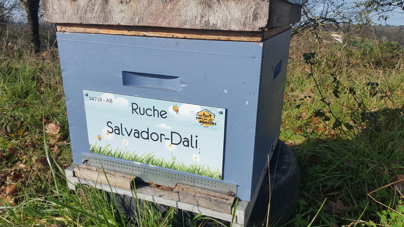La ruche Salvador-Dali