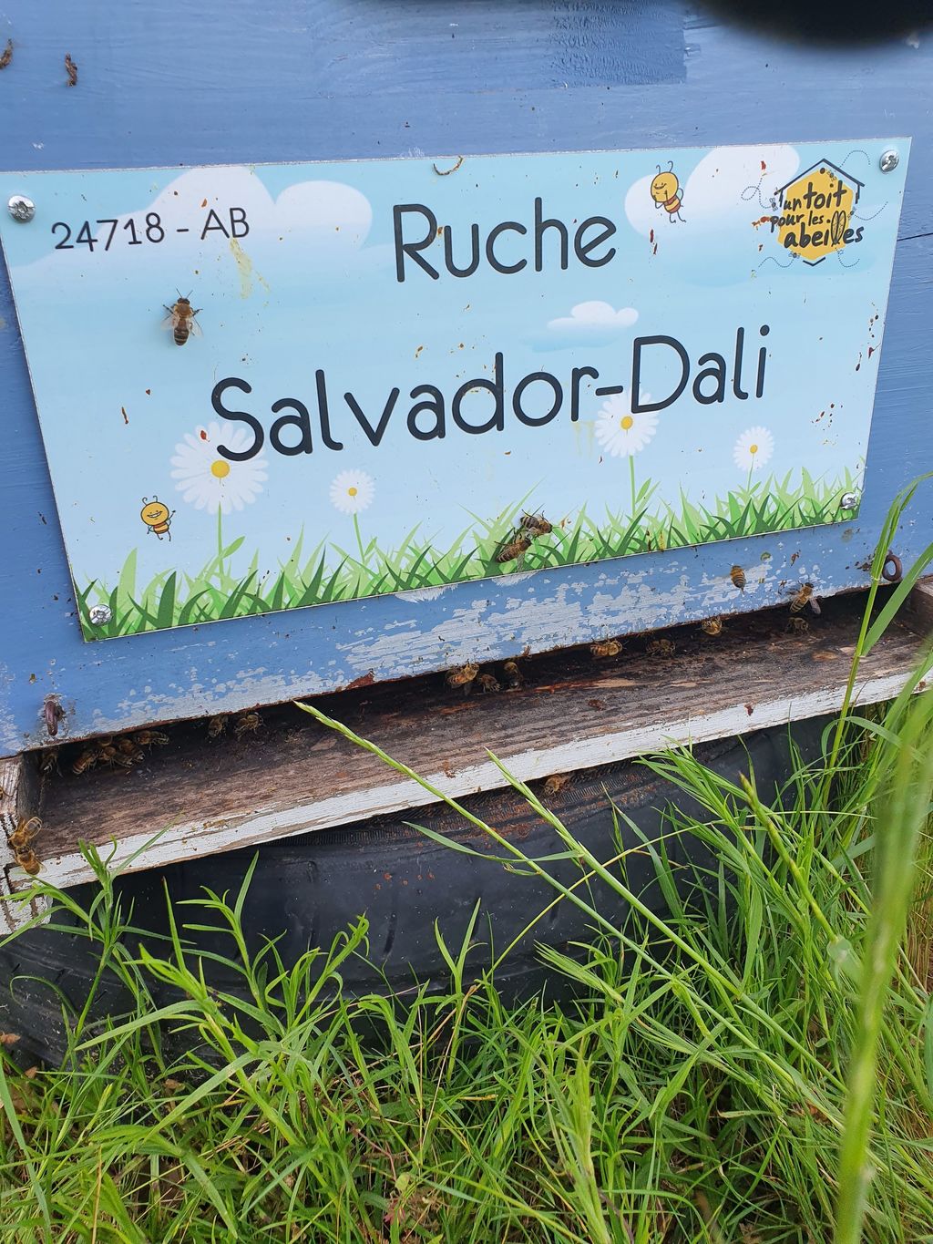 La ruche Salvador-Dali