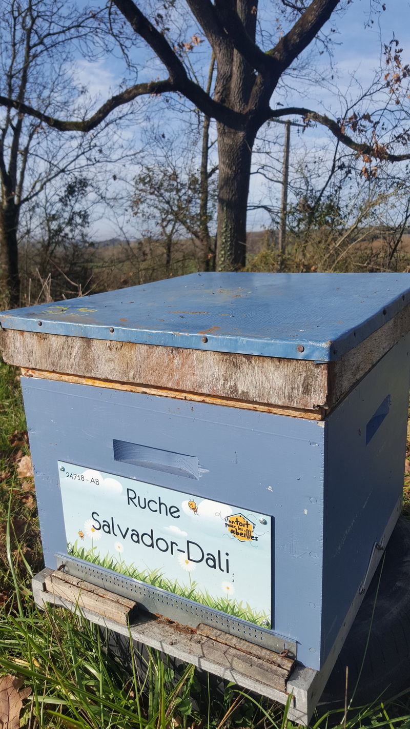 La ruche Salvador-Dali