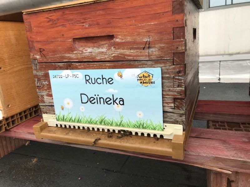 La ruche