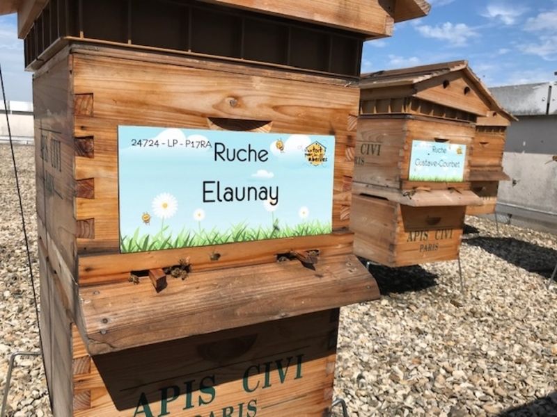 La ruche