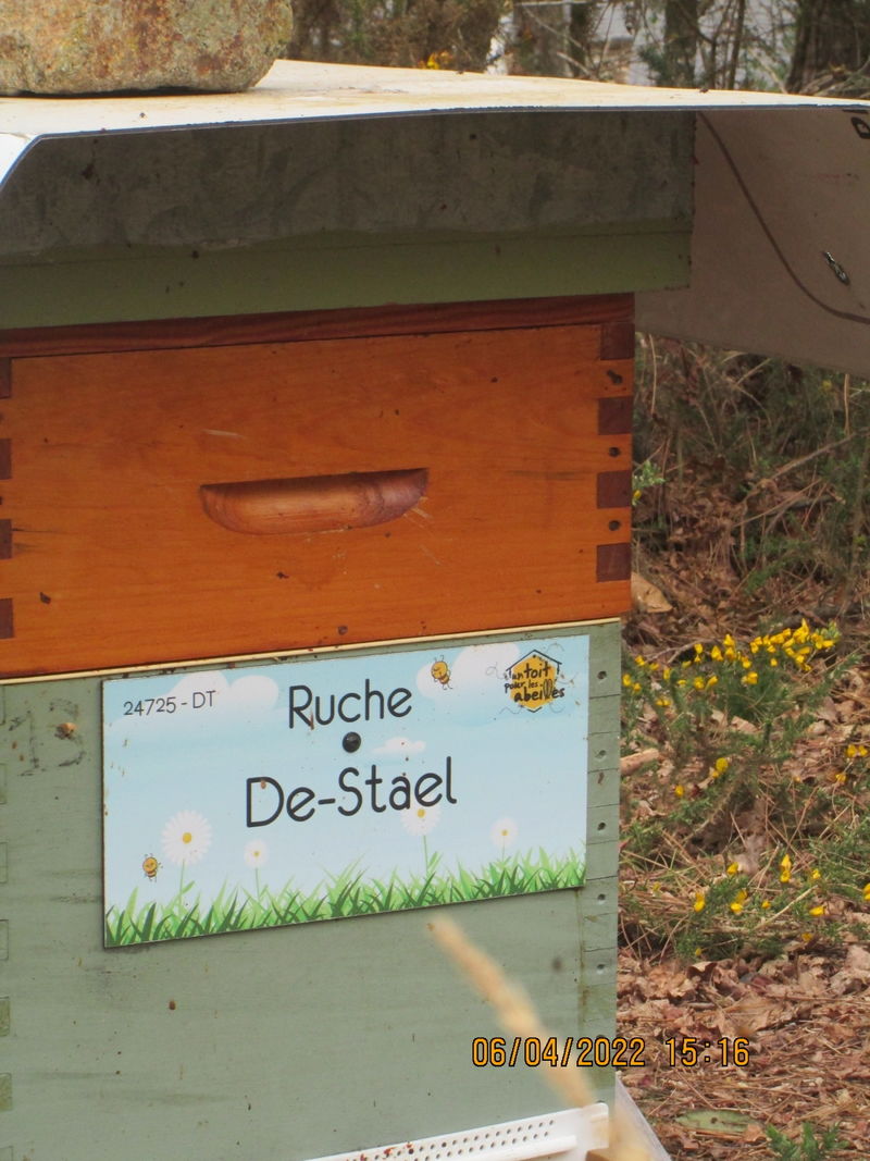 La ruche De-Stael