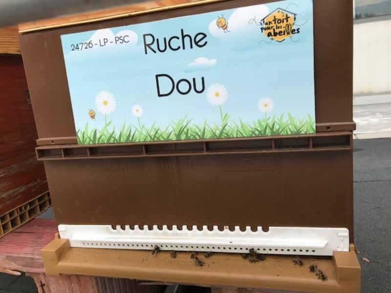 La ruche