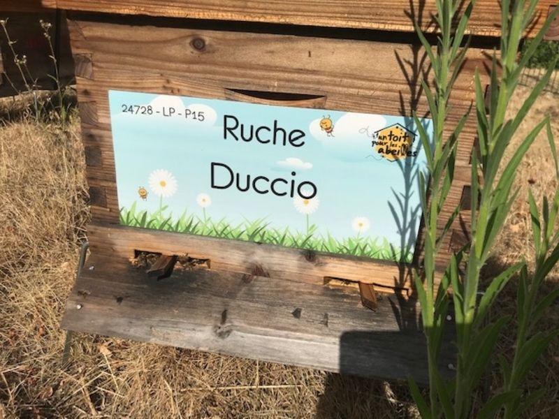 La ruche 