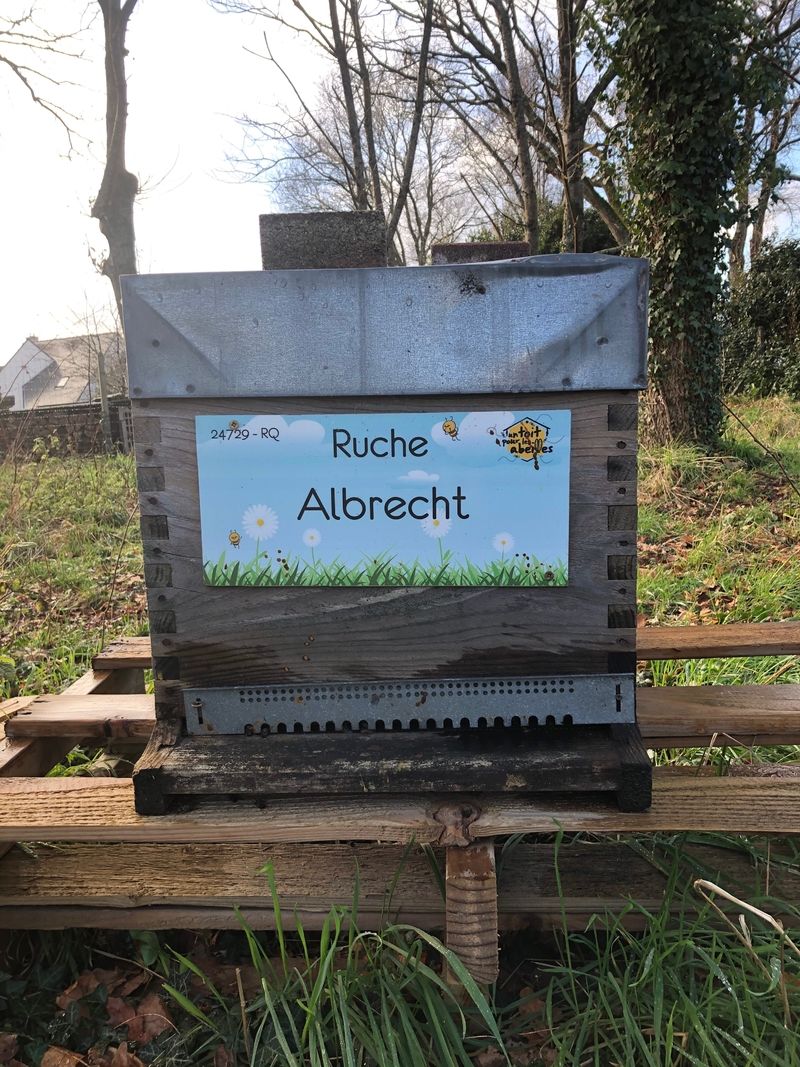 La ruche