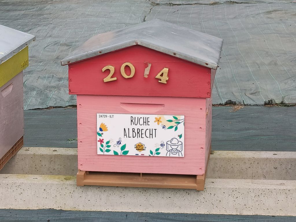 La ruche Albrecht