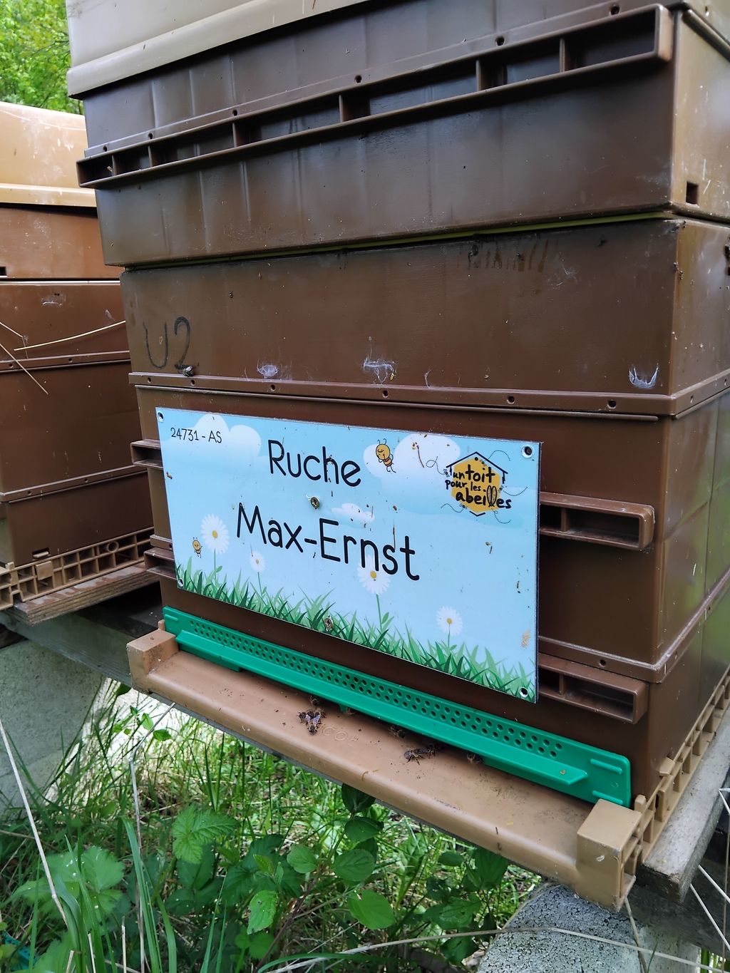 La ruche Max-Ernst
